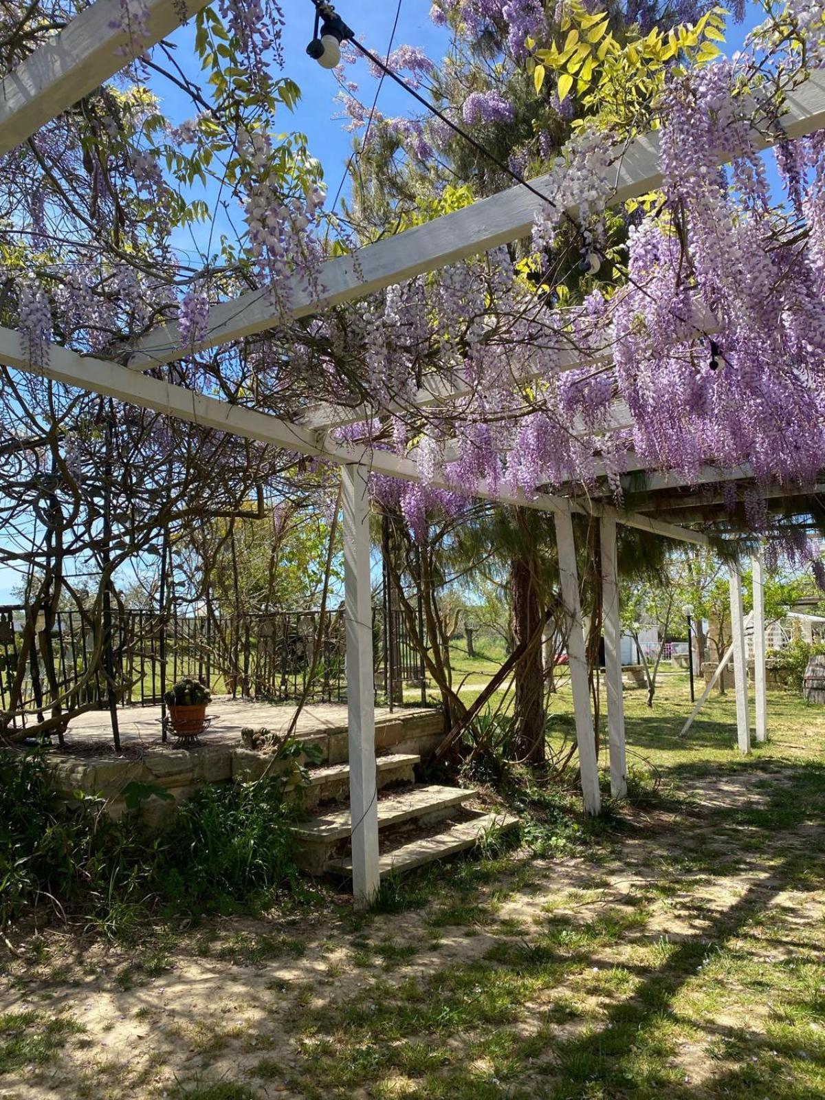 Aradeo Agriturismo Tenuta La Monaca מראה חיצוני תמונה