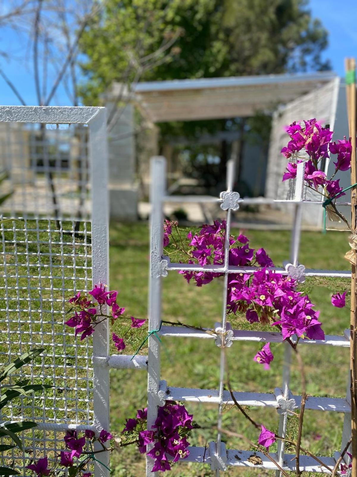 Aradeo Agriturismo Tenuta La Monaca מראה חיצוני תמונה